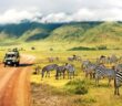 Sanfter Tourismus in Afrika: Vorteile einfach erklärt, Beispiele ( Foto: Shutterstock- Delbars)