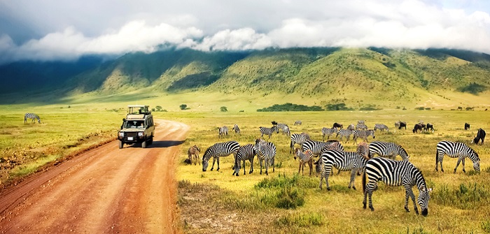 Sanfter Tourismus in Afrika: Vorteile einfach erklärt, Beispiele ( Foto: Shutterstock- Delbars)