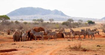 Afrika Urlaub – Interessante Ziele entdecken oder erholen ( Foto: Adobe Stock - 25ehaag6 )