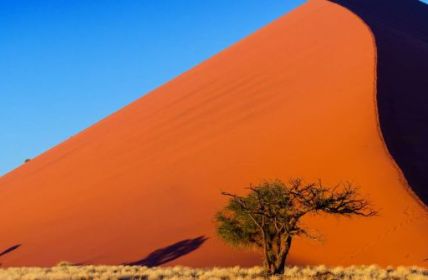 mTouristische Besucherzahlen in Afrika nehmen erneut zu (Foto: AdobeStock - Iuliia Sokolovska 64997307)