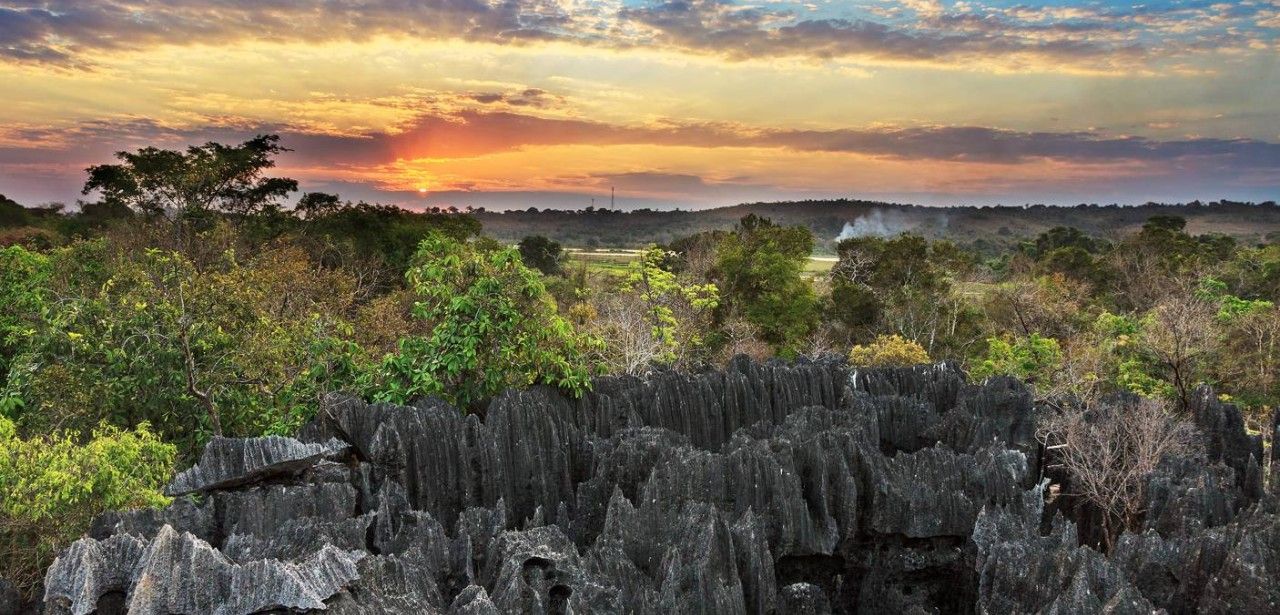 Entdecken Sie die Schönheit Madagaskars: Drei einzigartige (Foto: AdobeStock 163621660 dennisvdwater)