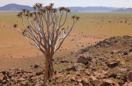 4WD-Mietwagenreise durch Südnamibia: Offroad-Abenteuer, Gastfreundschaft, Lodges und grenzenlose (Foto: Afrika Plus Reisen)